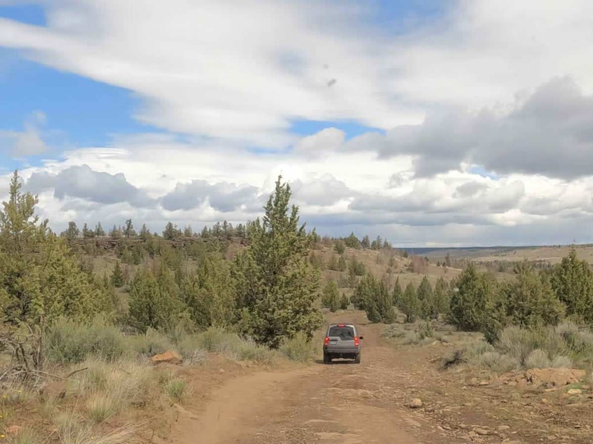 Alder Springs photo 2