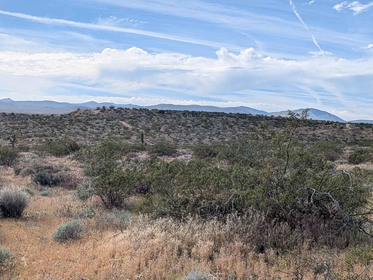 BLM LAP Indian Wells Canyon photo 6