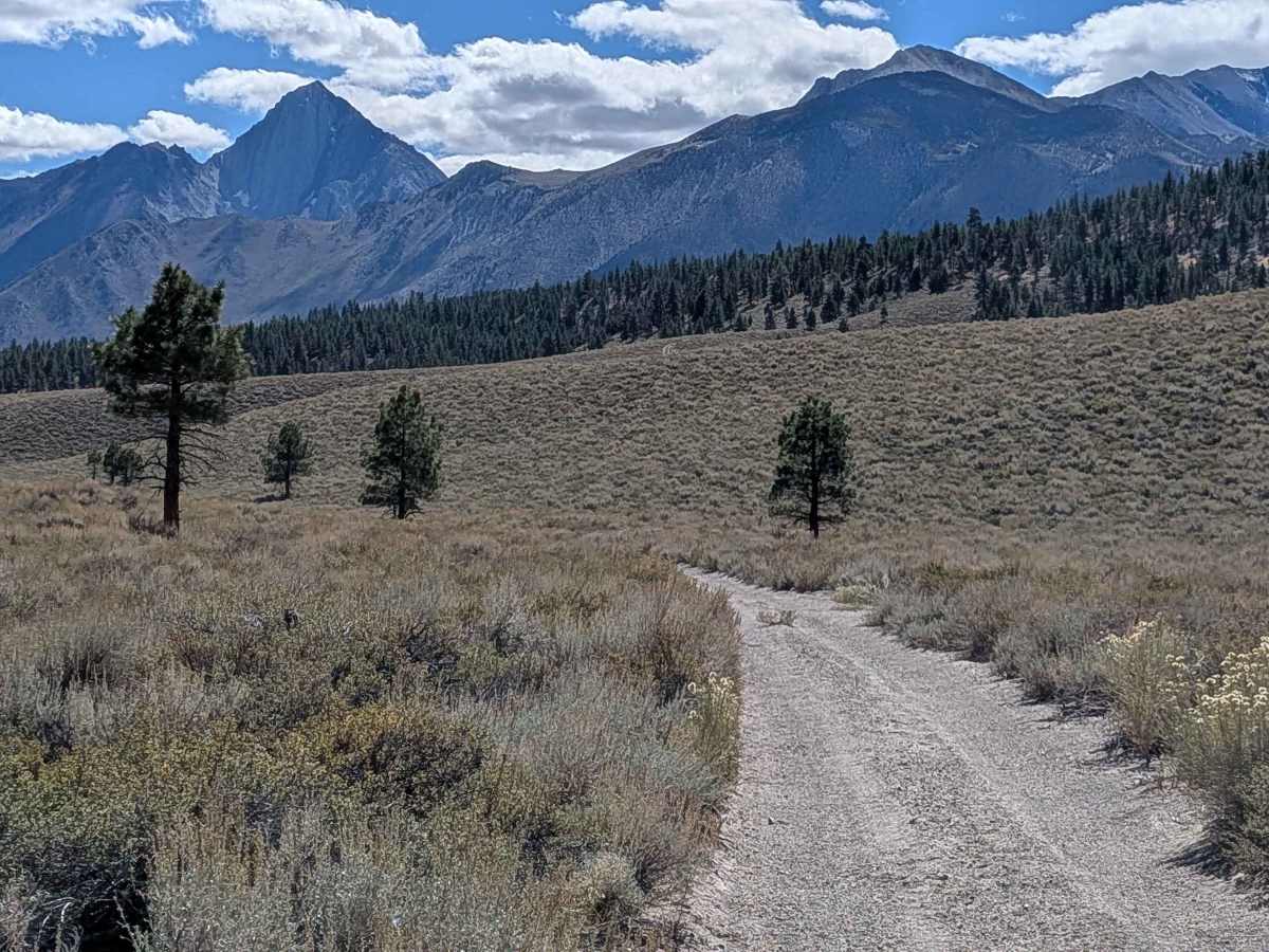 FS 3S134 trail photo