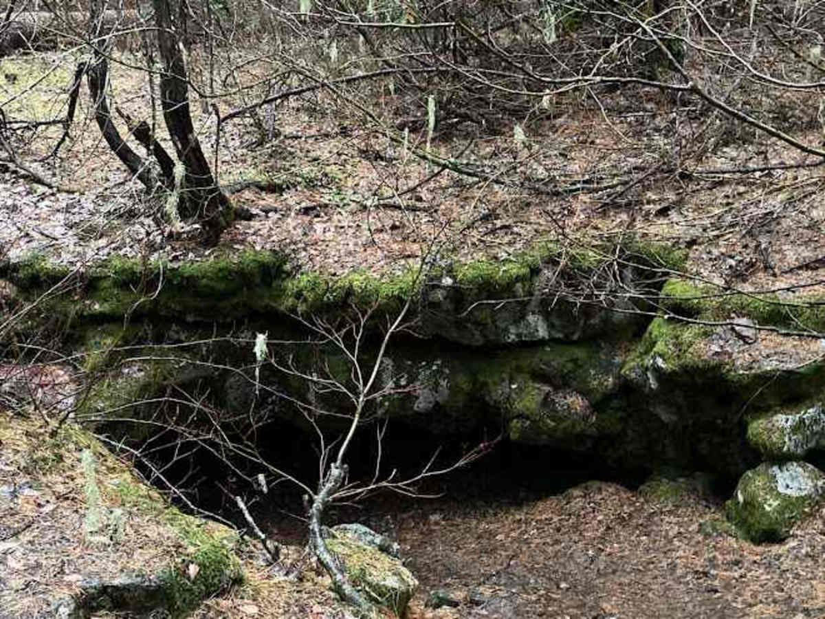 Big Lava Bed Trail photo 2