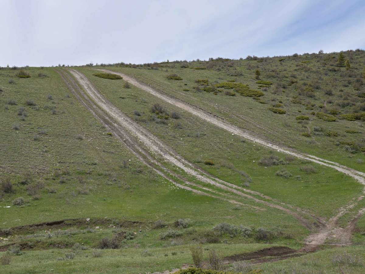 East Draw Diamond Ridge Connector - FS 122 trail photo