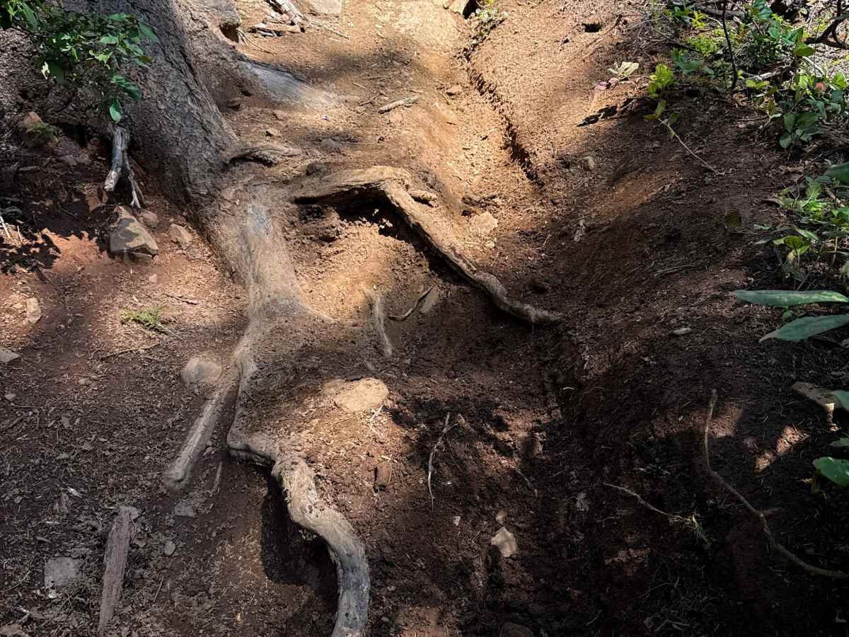 108 (Single-Track) photo 2