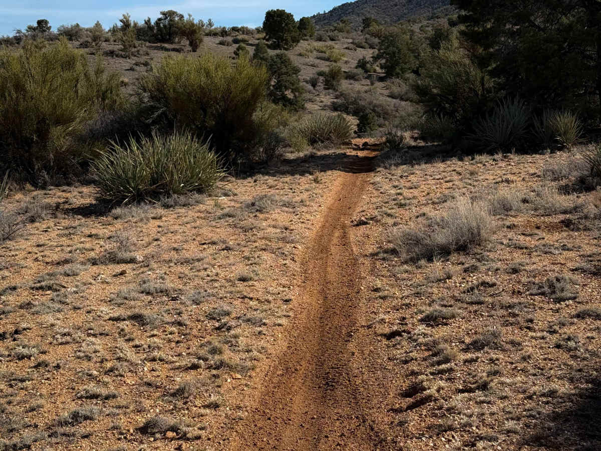 Hualapai Singletrack photo 2