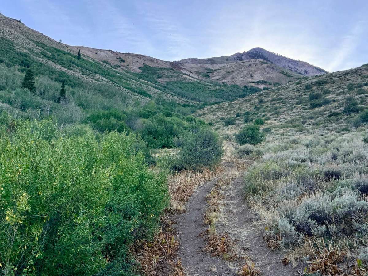 Independence - FS 16209 trail photo