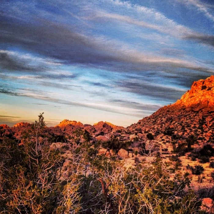 Near Boy Scout Trail