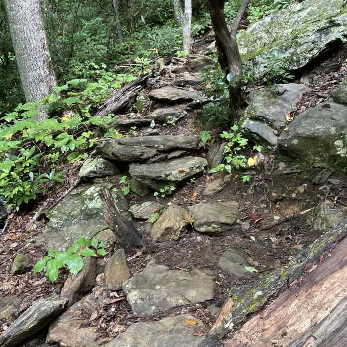 Many rocky portions heading up the trail. Near Art Loeb Trail