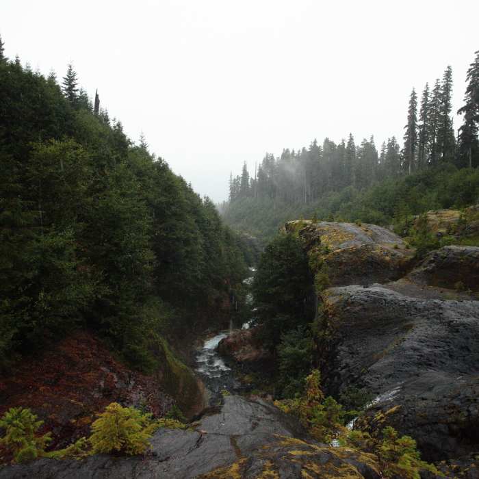 Near Lava Canyon Loop