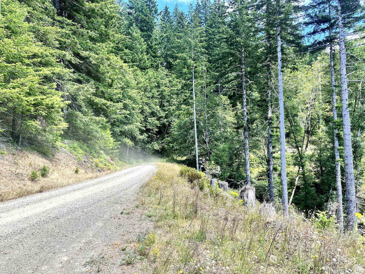 Wheeler Pond Road photo 6