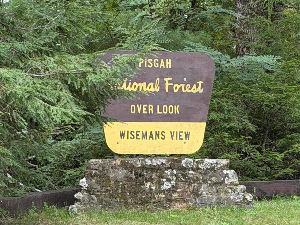 Wiseman’s View Road - FS 458 trail photo