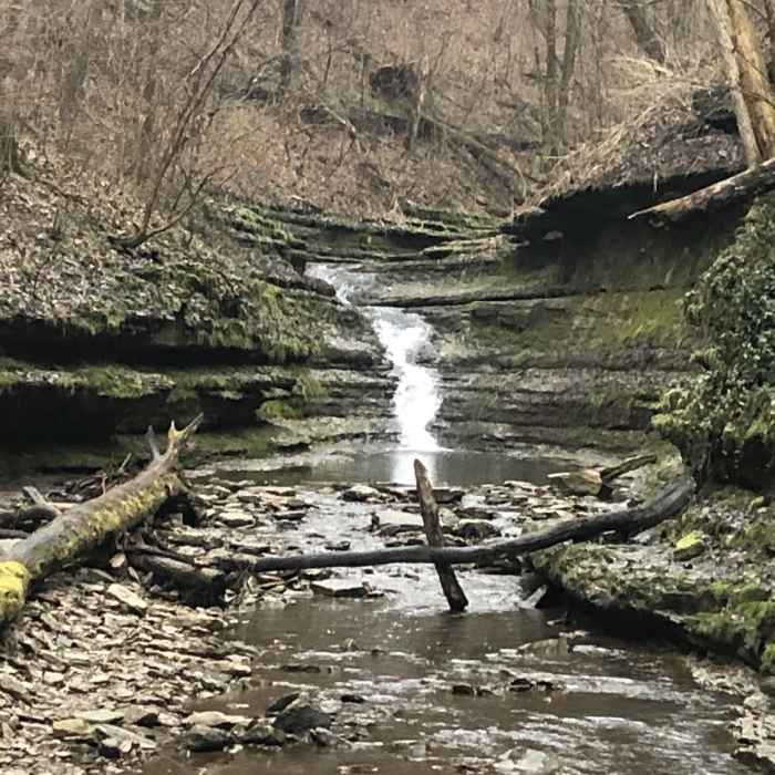 Near John Holder Trail