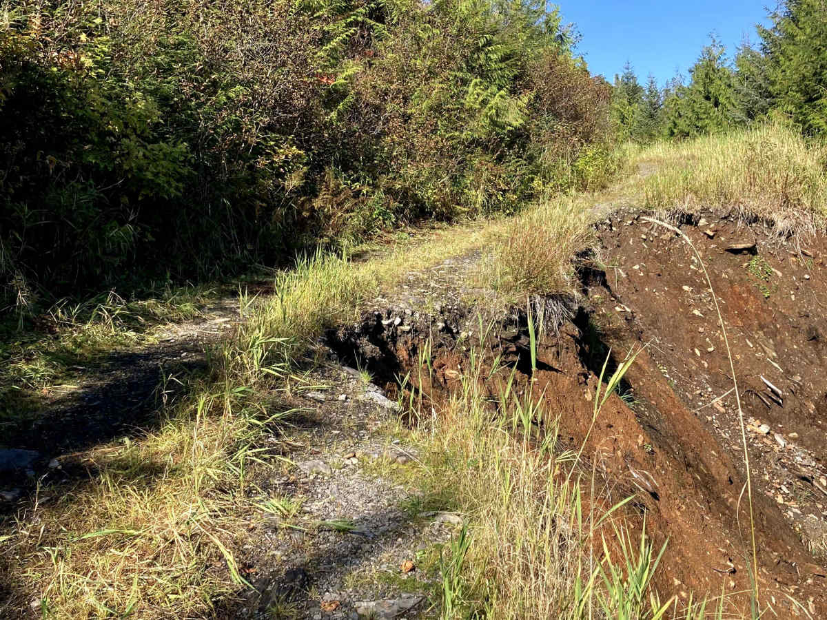 8337000 Road trail photo