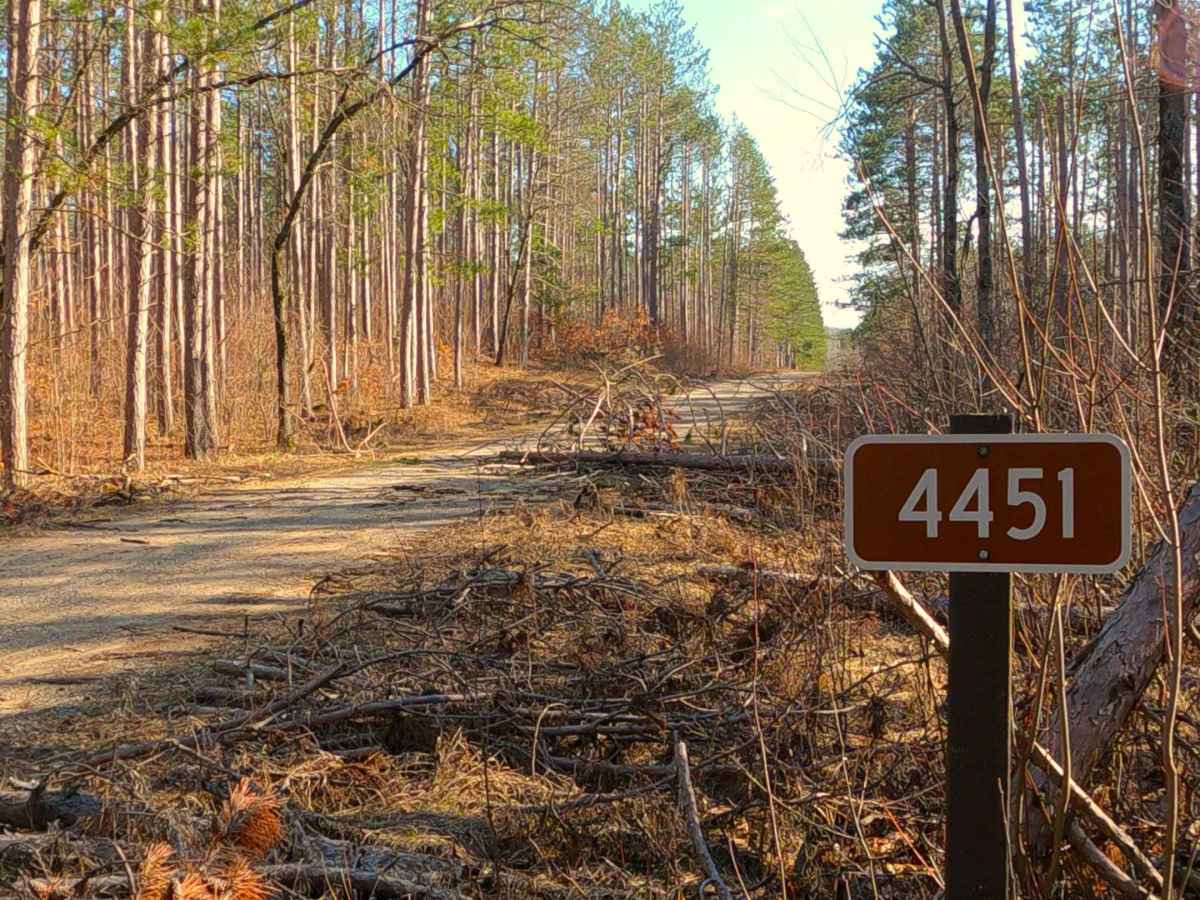 Summers Road - FS 4451 trail photo