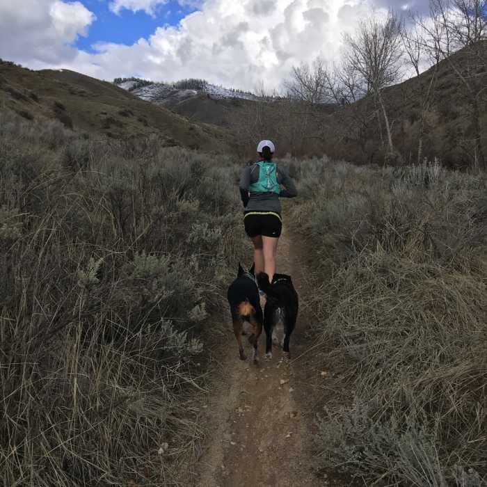 Near Five Mile Gulch