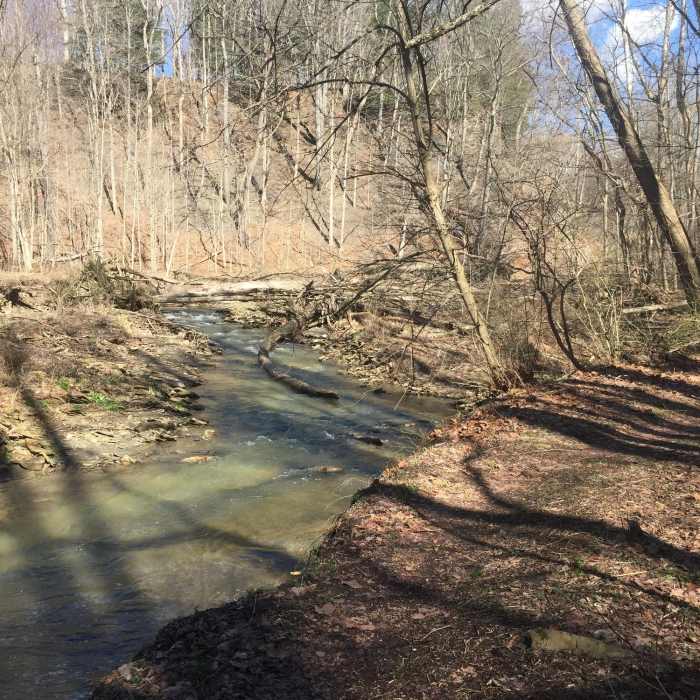 Near Sagamore Creek Loop Trail