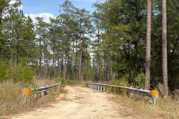 Mashourn Forks Road