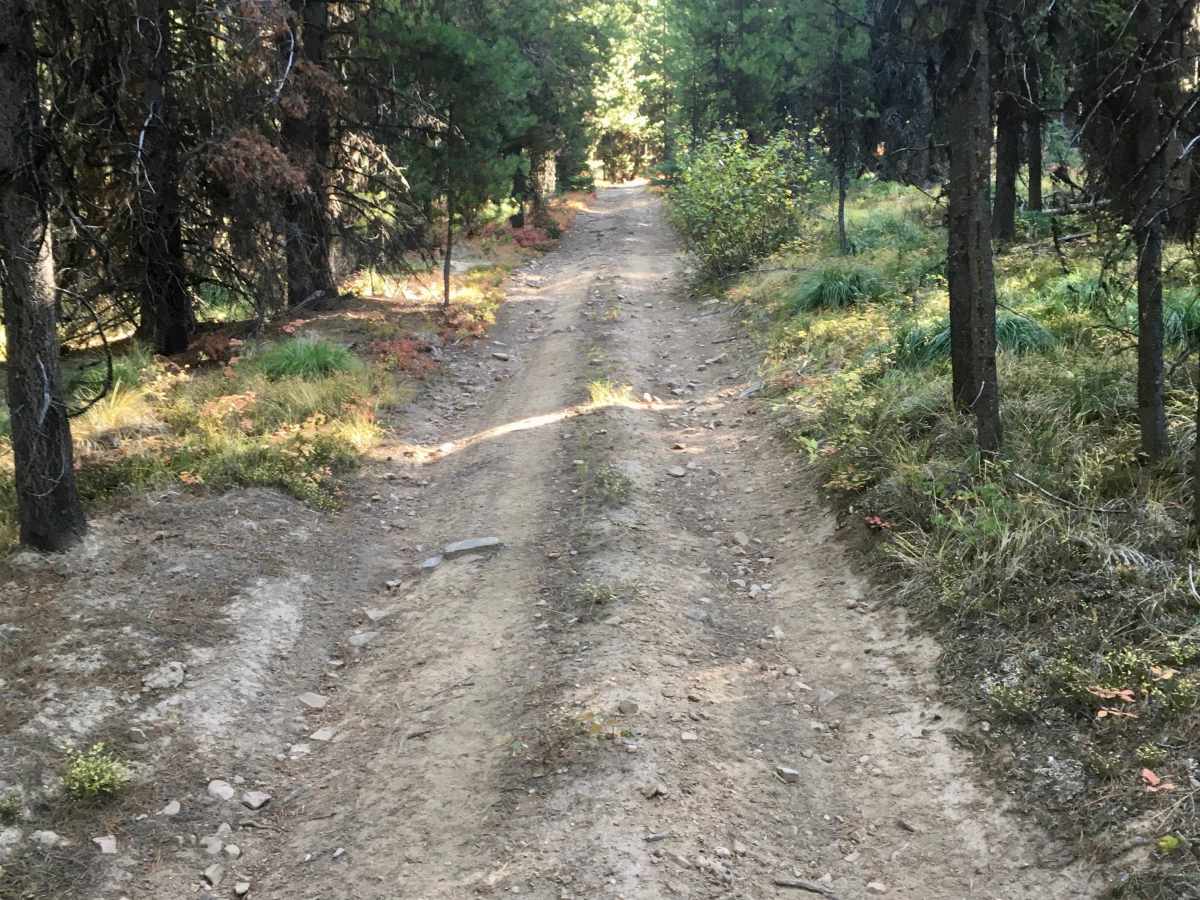 Reynolds - Lick ATV photo 3