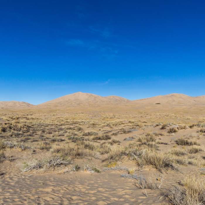 Near Kelso Dunes Route