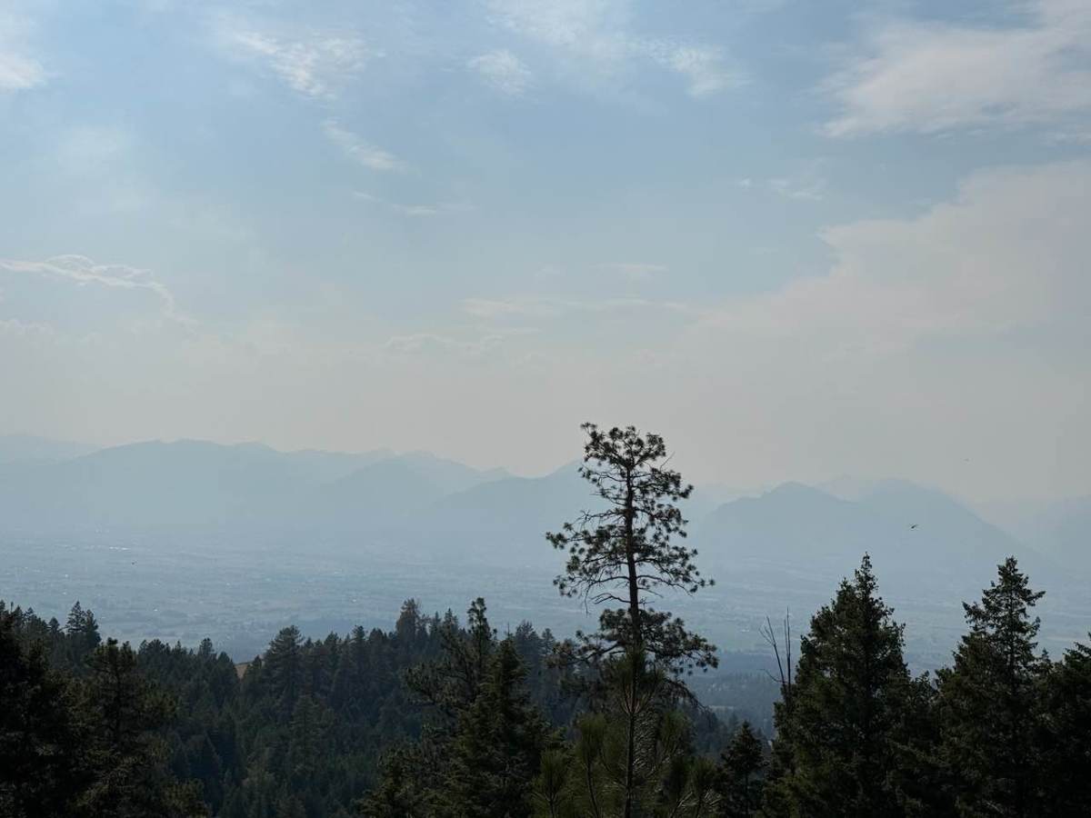 Gold Creek photo 4