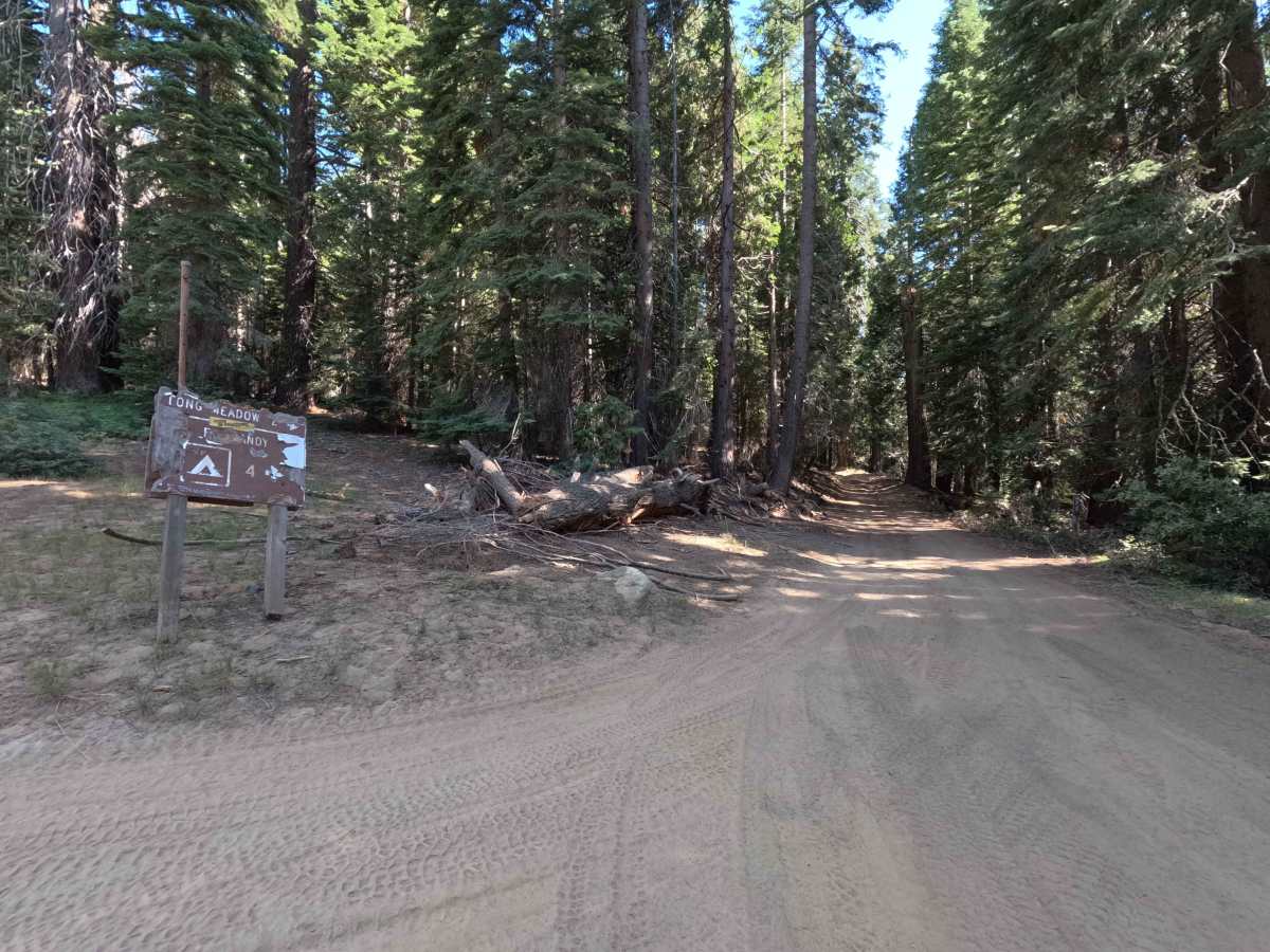 Long Meadow - FS 5S022 trail photo