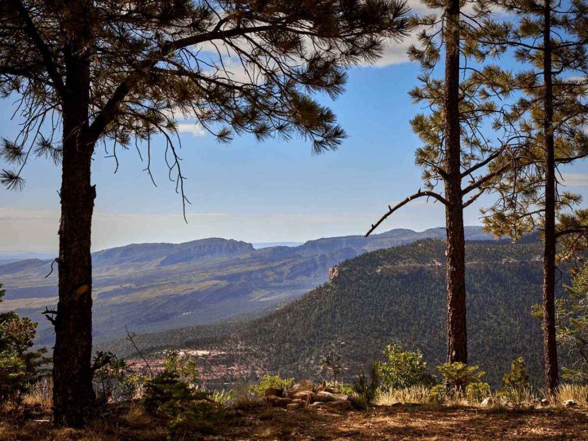 East Rim Ridge Trail photo 6