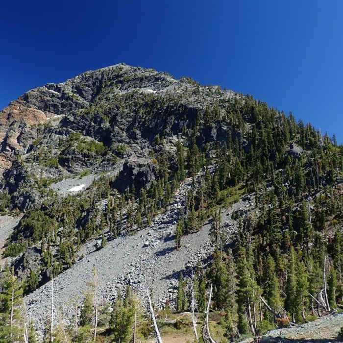 Near Preston Peak Spur Trail