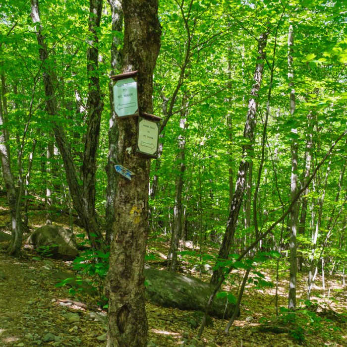 Near Mount Major Loop Near Mount Major Loop