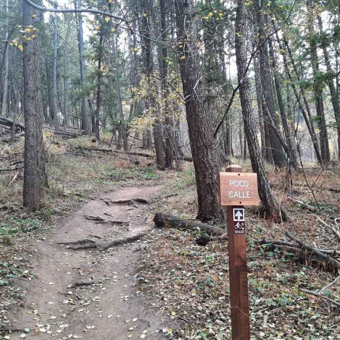 Near Apex + Enchanted Forest Loop