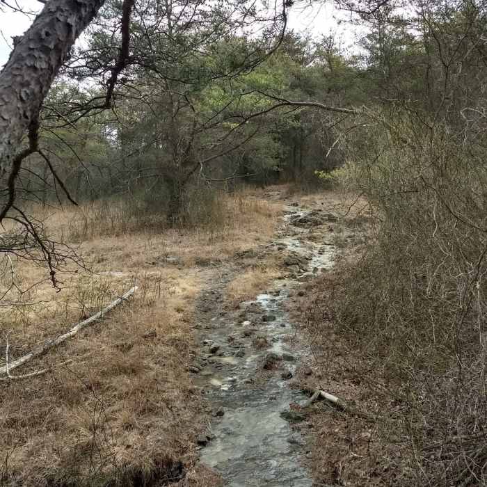 Near Tour of Lake Roland
