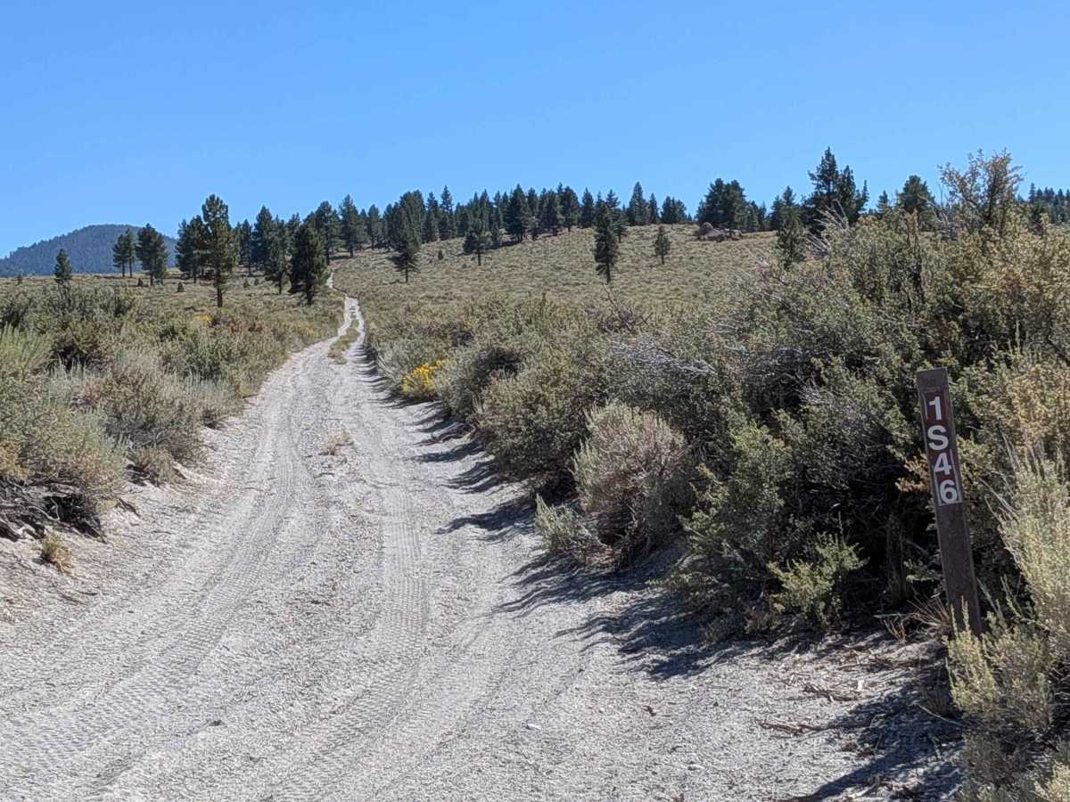 Aeolian Ridge FS1S46 trail photo