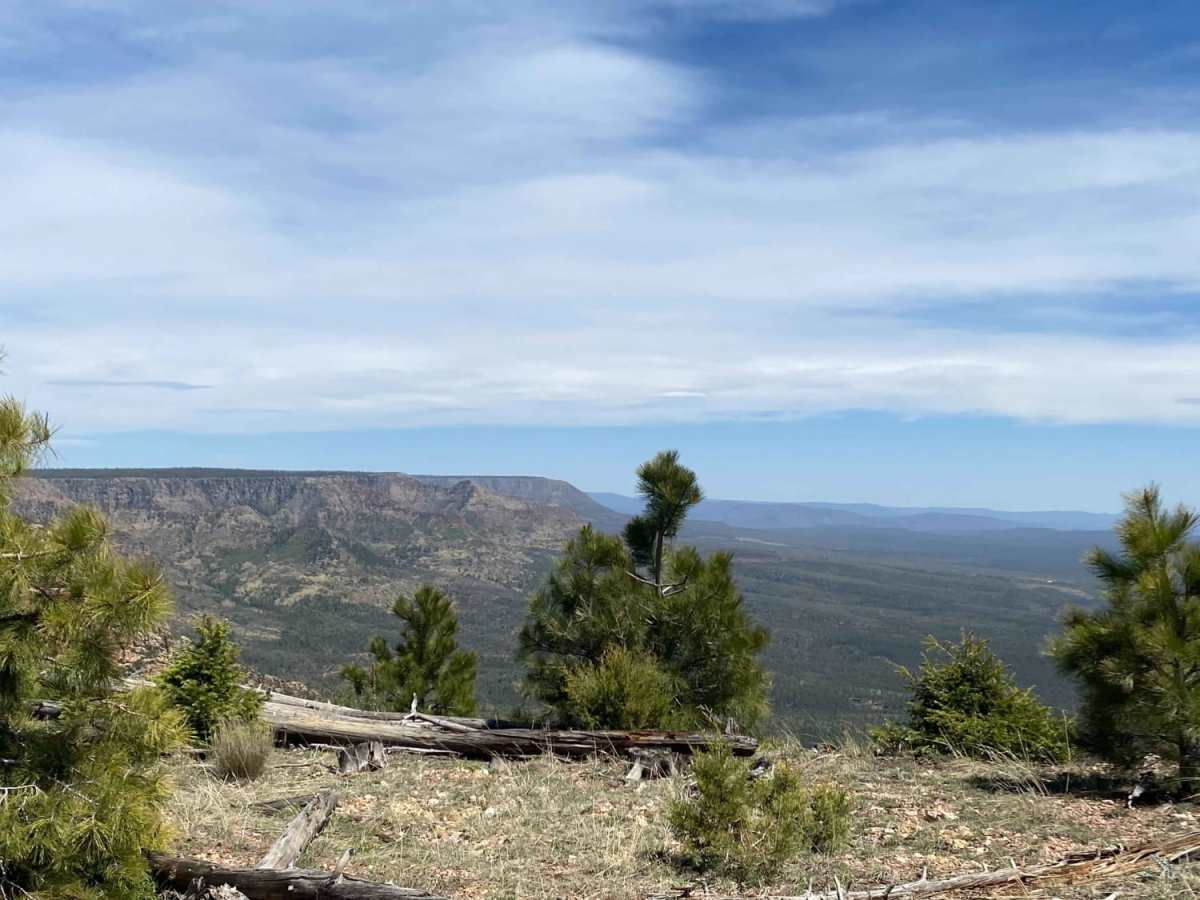 Rim Road West photo 4