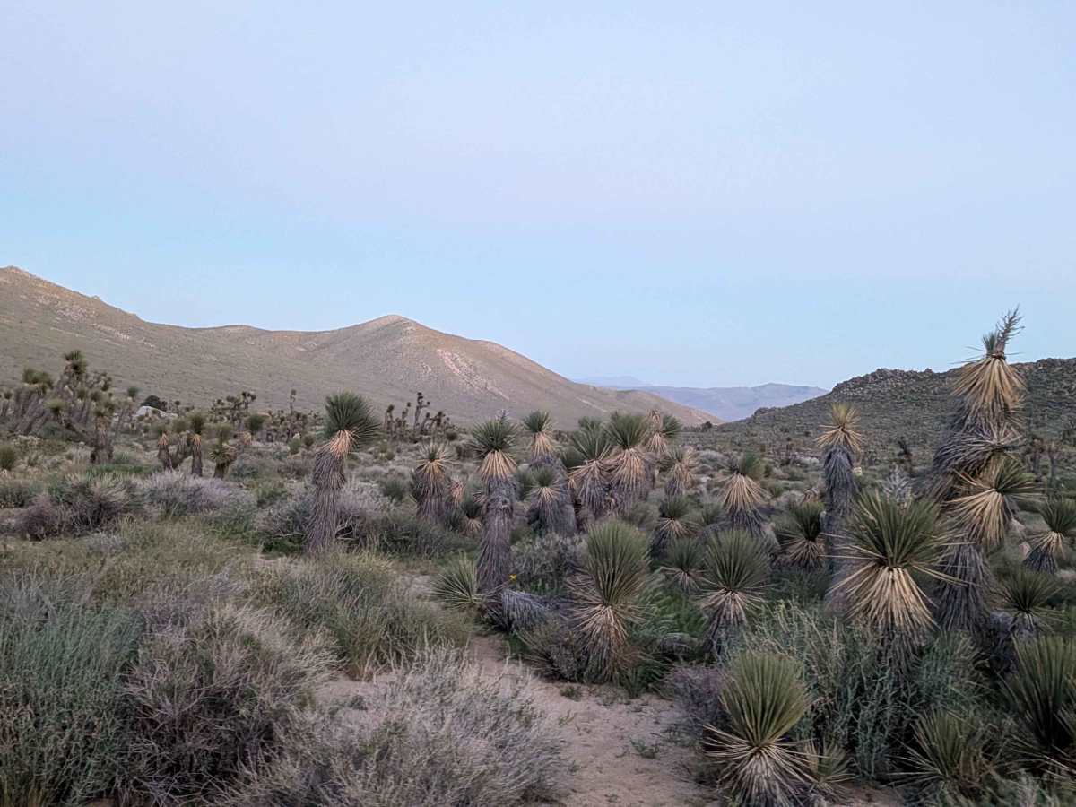 Cow Heaven Canyon Road BLM SC51 photo 6