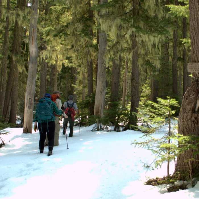 Near Indigo Lake Trail