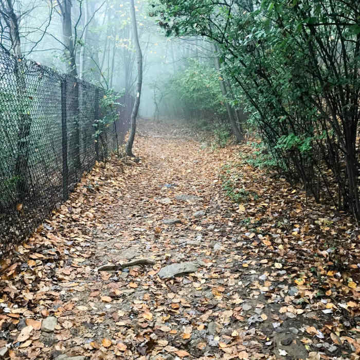 Near Annapolis Rock on the Appalachian Trail