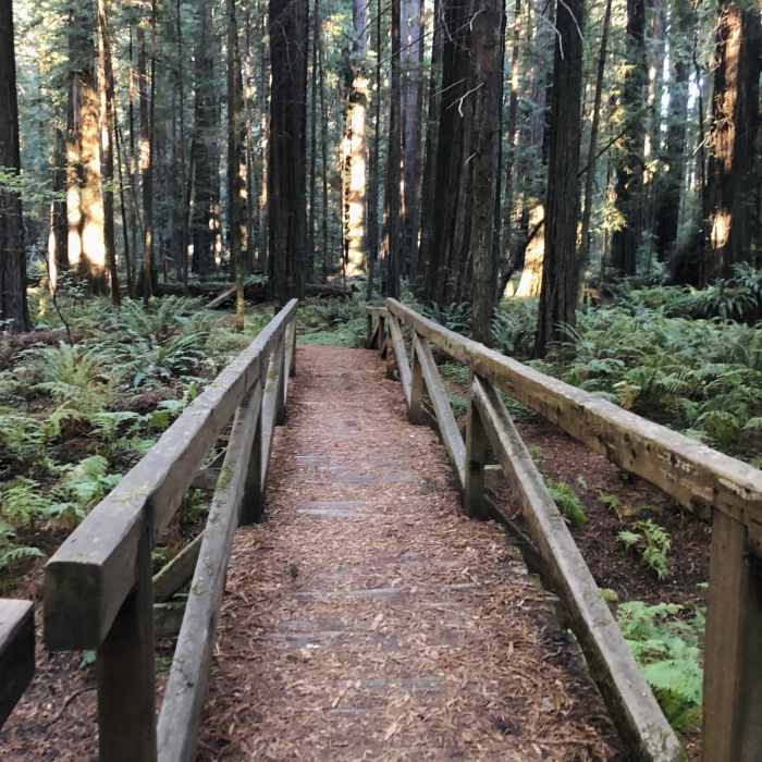 Near Drury-Chaney Trail