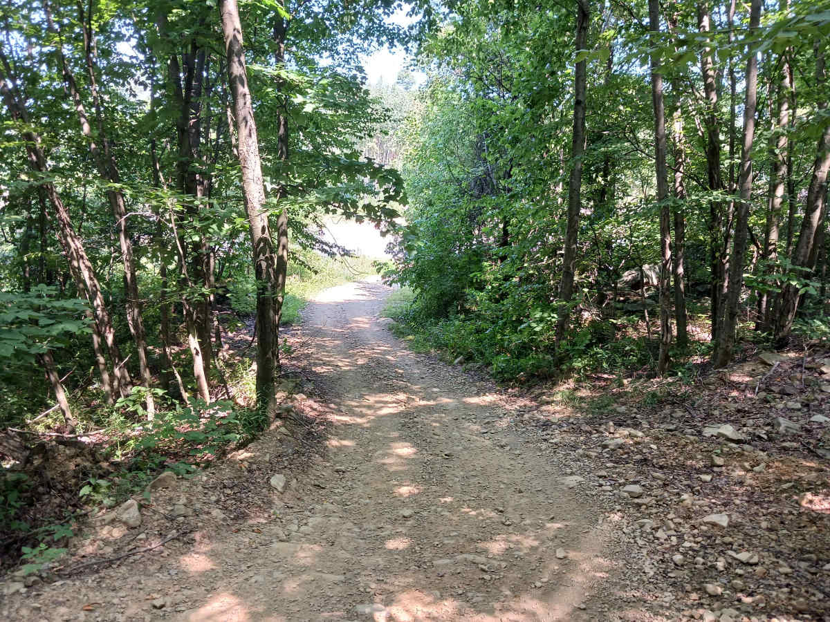 Lower Terrace Road - Rock Run Recreation Area photo 2