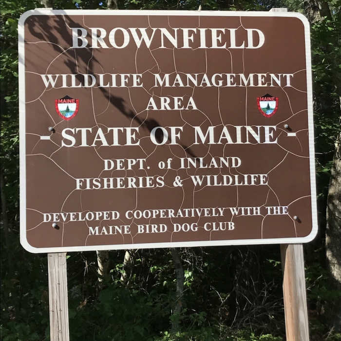 Brownfield Wildlife Management Area. Near Mountain Division Rail Trail