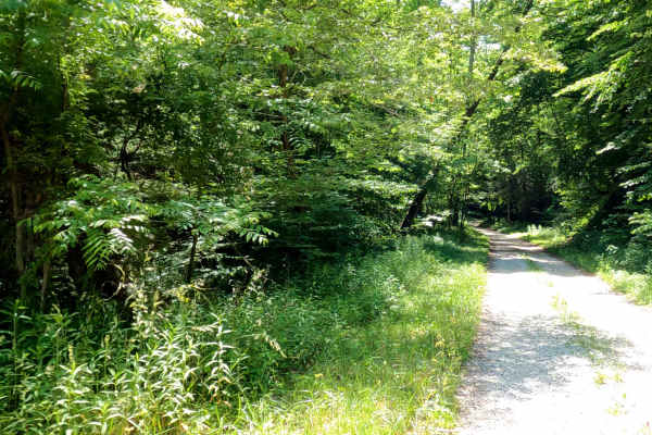 Wayne Benson Road