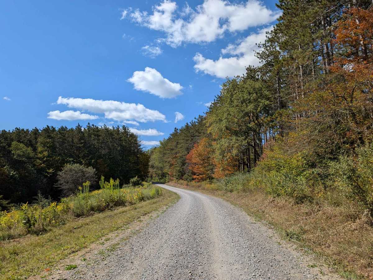 Long Run trail photo