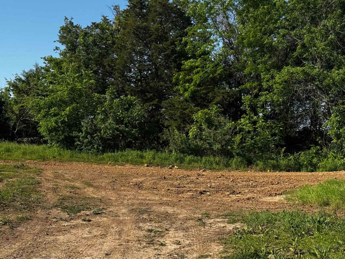 Eastern Track  photo 2