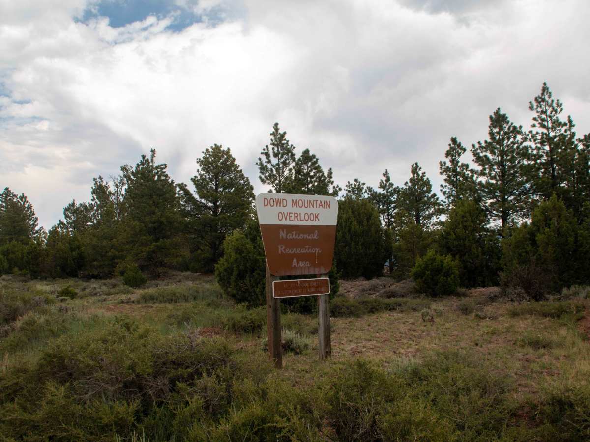 Dowds Mountain - FS 10094 photo 2