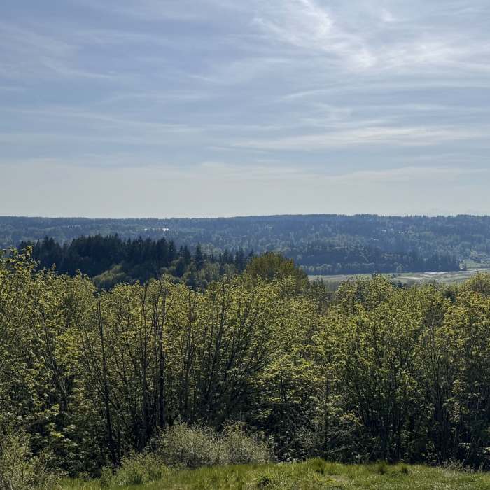 Near Rock Candy Lookout
