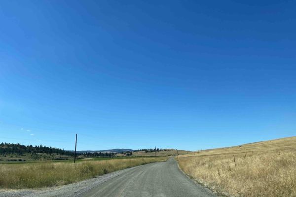 Douglas Lake Road