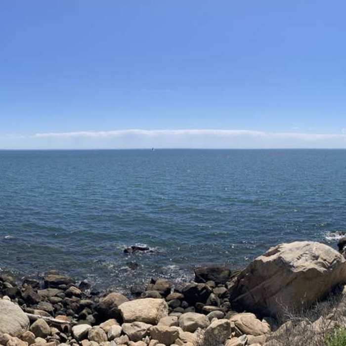 A summertime view from the observation platform. Near Hammonasset Footpath