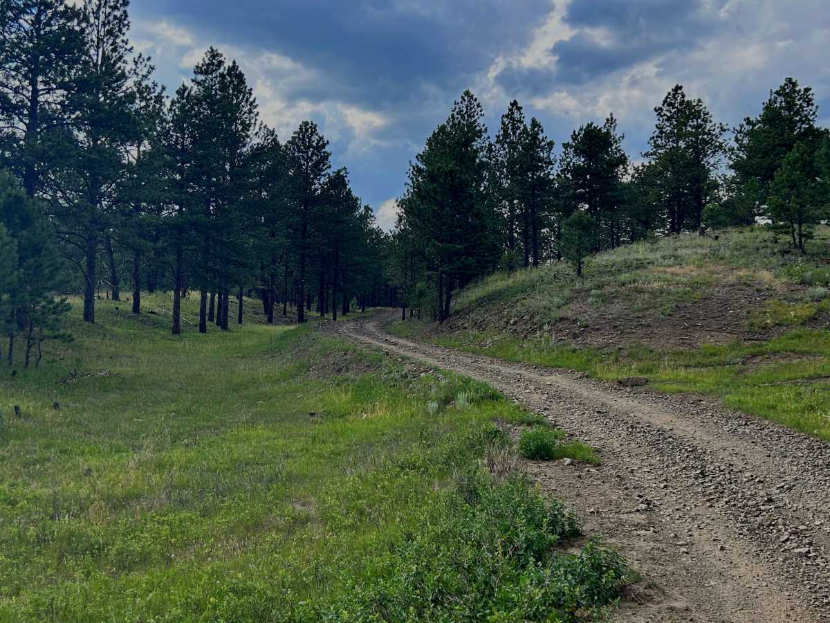 Valley Trail - FS 669 photo 4