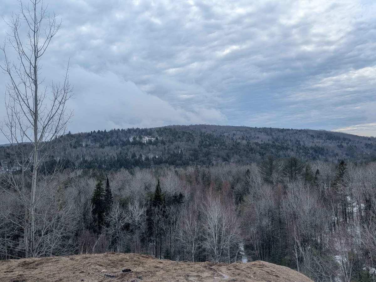 Upper Stone Ridge Easy Sand Pit trail photo
