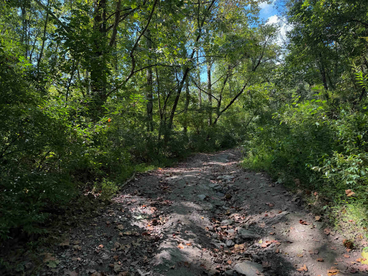 Laco Road 12   photo 4