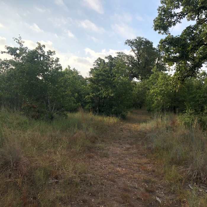 Near Bobcat Ridge Trail
