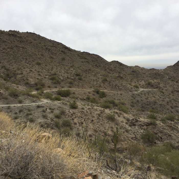 Turnbuckle Trail facing east Near Skyline Circumference Trail