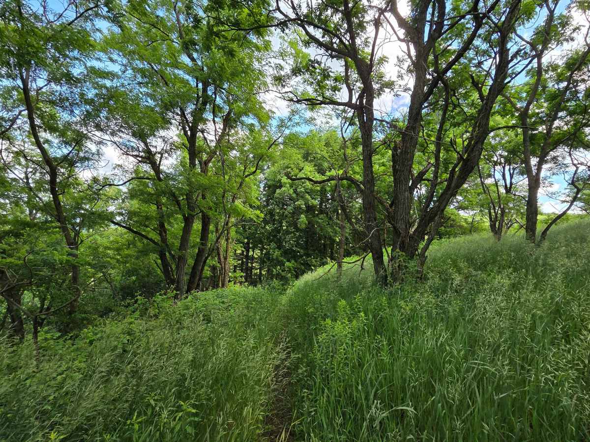 Single Track G photo 3