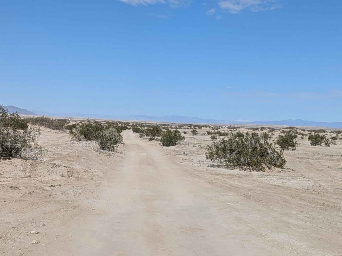 BLM 077 photo 2